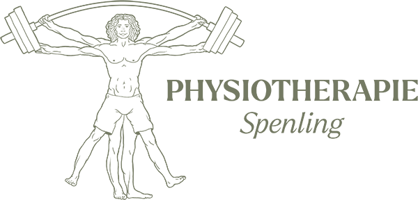 Physiotherapie Spenling Logo